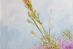 Lavanda_Web_GustavoTOrqueto